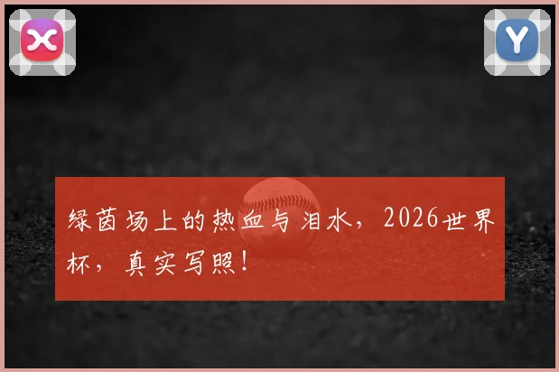 绿茵场上的热血与泪水，2026世界杯，真实写照！