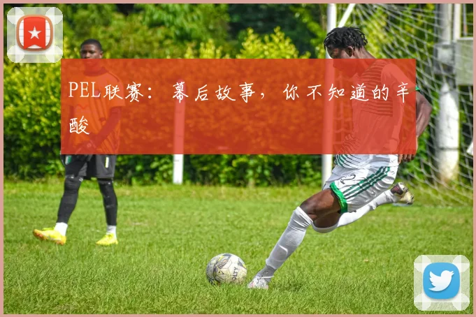 PEL联赛：幕后故事，你不知道的辛酸