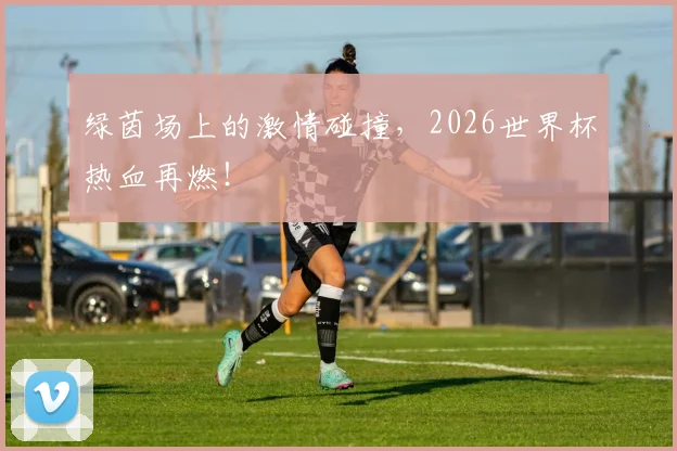 绿茵场上的激情碰撞，2026世界杯热血再燃！
