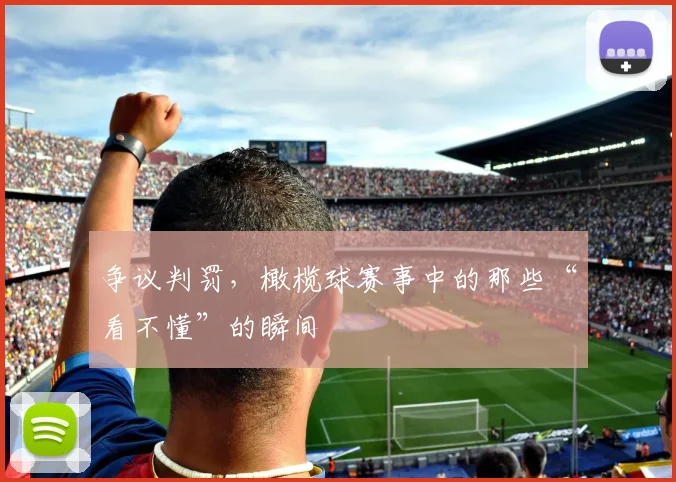 争议判罚，橄榄球赛事中的那些“看不懂”的瞬间