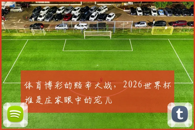 体育博彩的赔率大战，2026世界杯谁是庄家眼中的宠儿