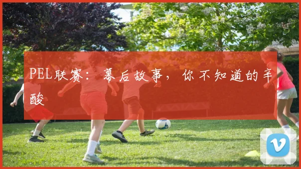 PEL联赛：幕后故事，你不知道的辛酸