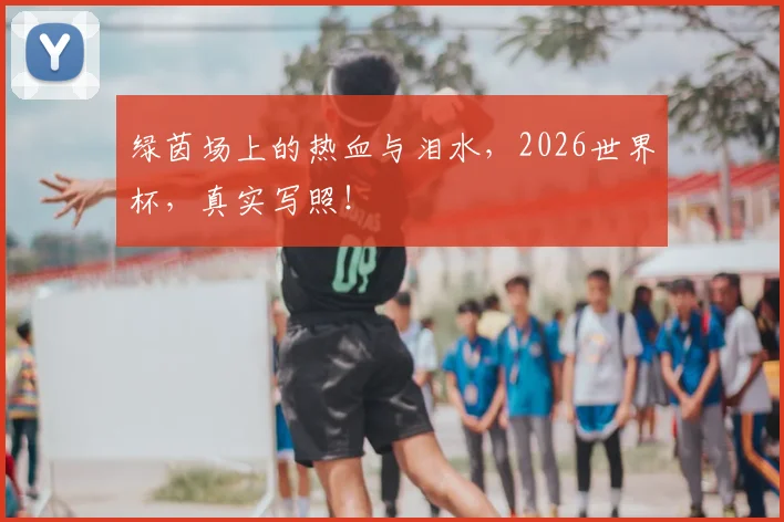 绿茵场上的热血与泪水，2026世界杯，真实写照！