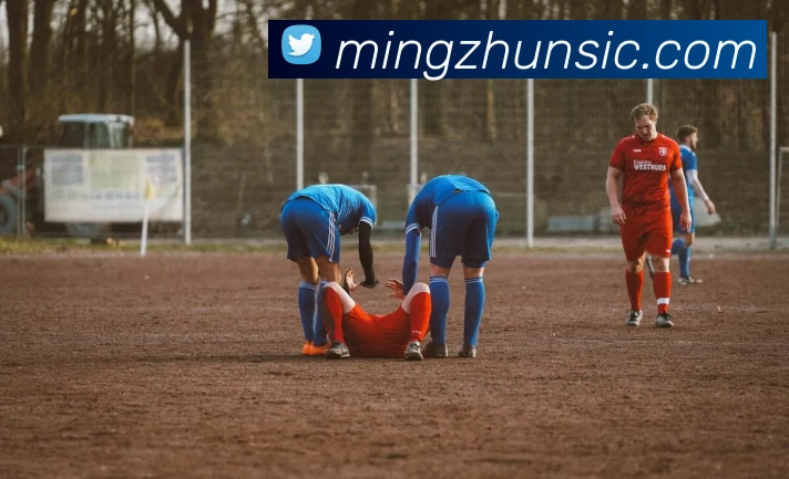 企业概况